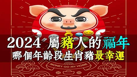 豬年次|屬豬今年幾歲？2024屬豬生肖年齡對照表！屬豬性格特質